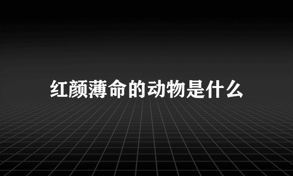 红颜薄命的动物是什么