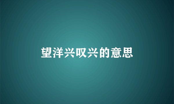望洋兴叹兴的意思
