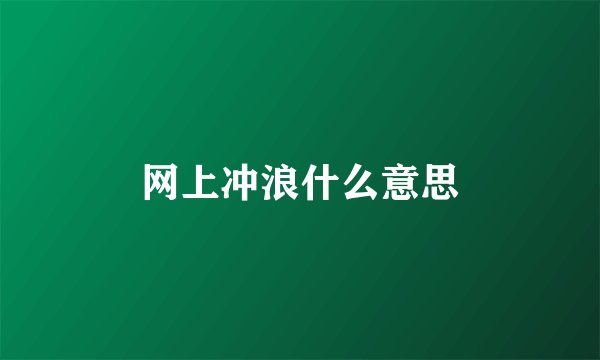 网上冲浪什么意思