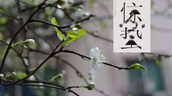 惊蛰(z蛰(zhe)的？我们这老人代怎么读？