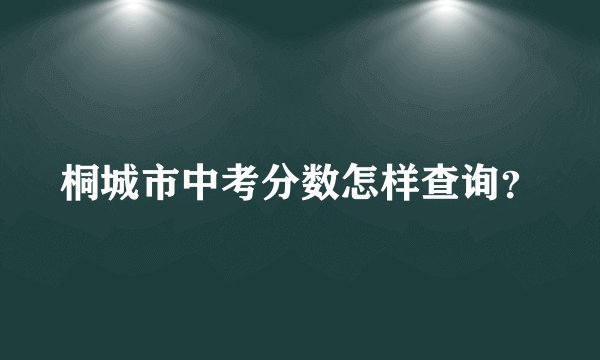 桐城市中考分数怎样查询？