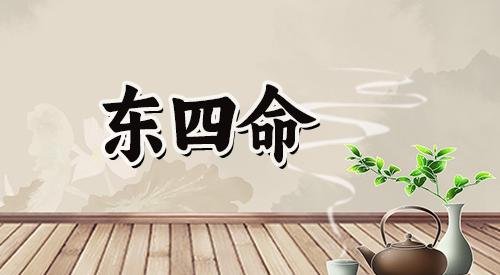 西四命和东四命年份表