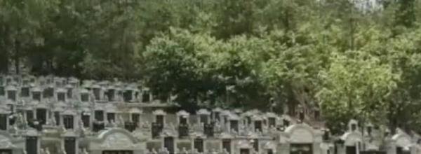 于月仙赤峰墓地曝光，是本地的回民墓园，墓碑紧凑，里面杂草丛生？