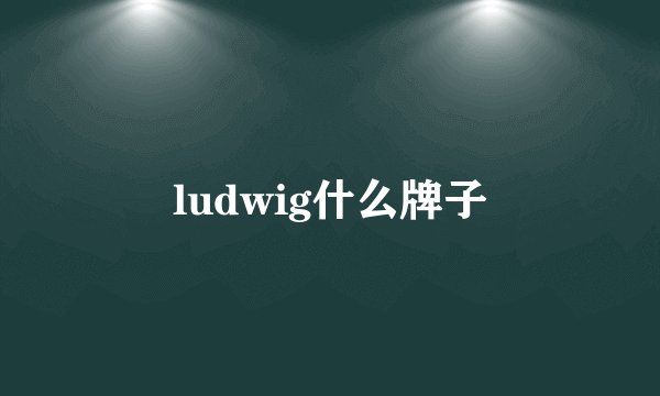 ludwig什么牌子