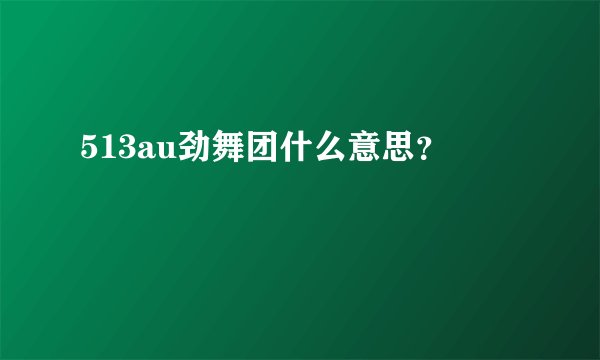 513au劲舞团什么意思？