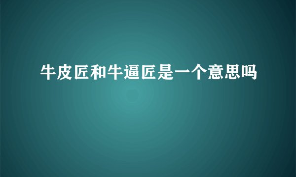 牛皮匠和牛逼匠是一个意思吗