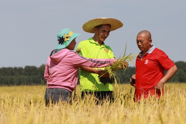 面朝黄土是什么生肖