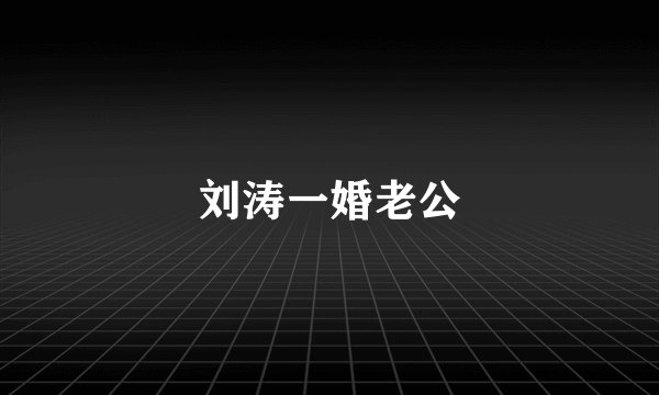 刘涛一婚老公