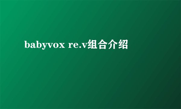 babyvox re.v组合介绍
