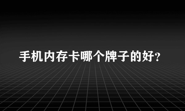 手机内存卡哪个牌子的好？