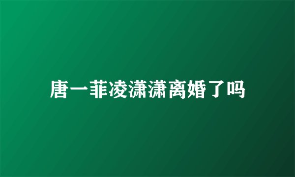 唐一菲凌潇潇离婚了吗