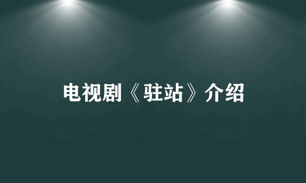 电视剧《驻站》介绍
