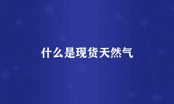 什么是现货天然气