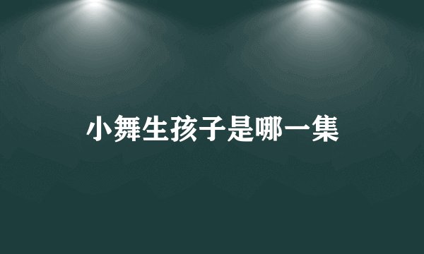 小舞生孩子是哪一集