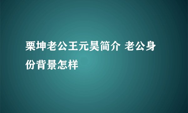 栗坤老公王元昊简介 老公身份背景怎样