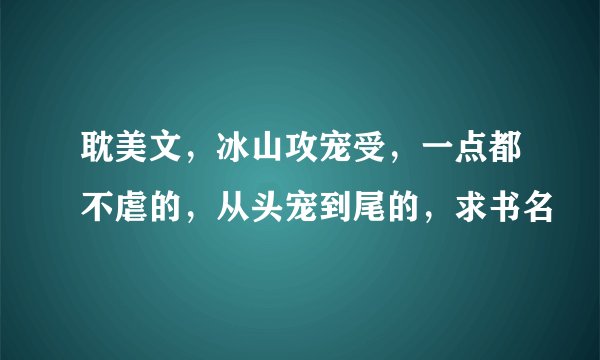 耽美文，冰山攻宠受，一点都不虐的，从头宠到尾的，求书名