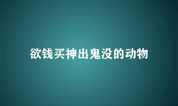 欲钱买神出鬼没的动物