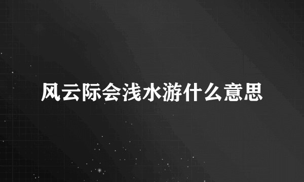 风云际会浅水游什么意思