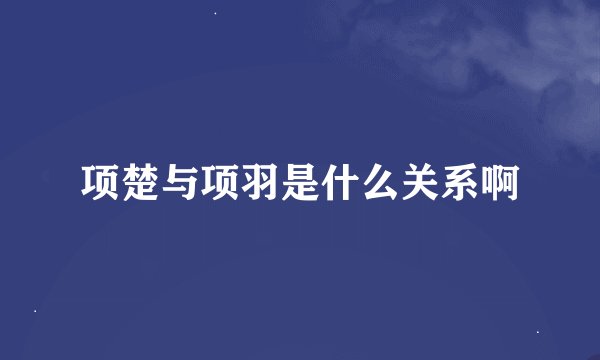 项楚与项羽是什么关系啊
