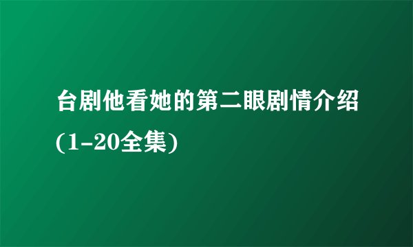 台剧他看她的第二眼剧情介绍(1-20全集)