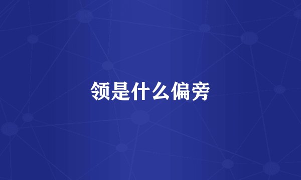 领是什么偏旁