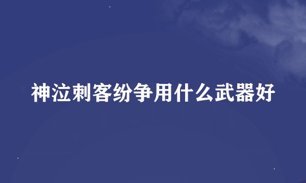 神泣刺客纷争用什么武器好