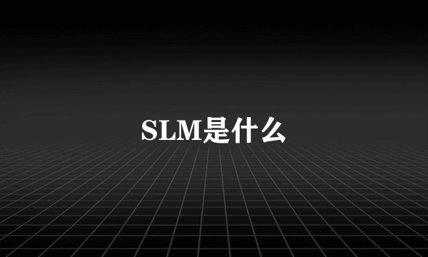 SLM是什么