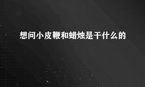 想问小皮鞭和蜡烛是干什么的