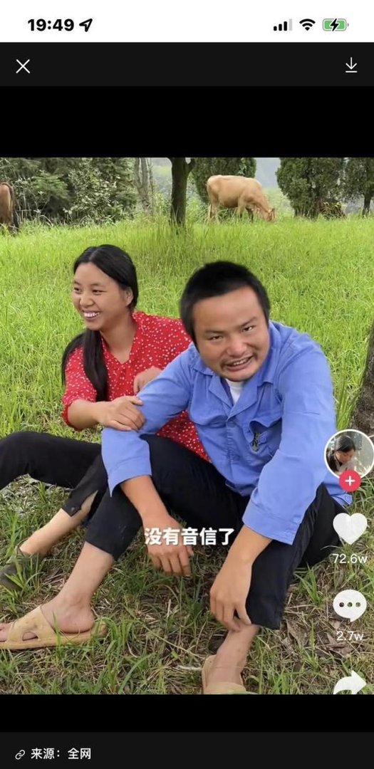 牛爱芳的小春花翻车,为哪般?