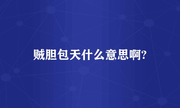 贼胆包天什么意思啊?