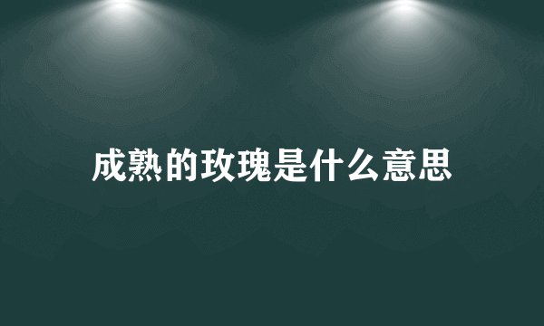 成熟的玫瑰是什么意思