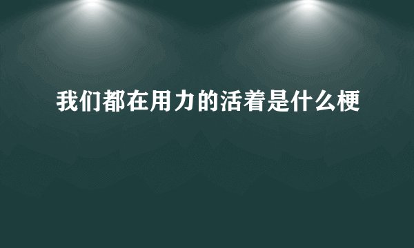 我们都在用力的活着是什么梗