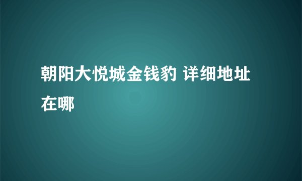朝阳大悦城金钱豹 详细地址在哪