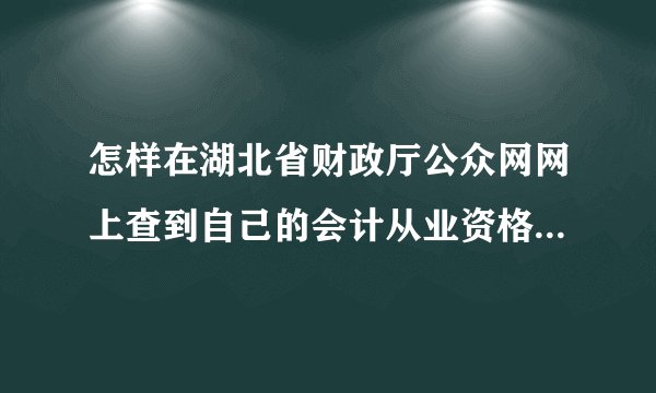 怎样在湖北省财政厅公众网网上查到自己的会计从业资格证号及相关信息