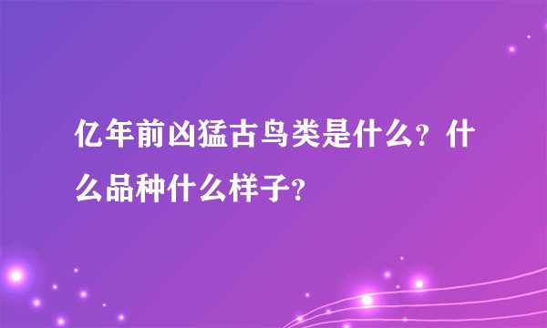亿年前凶猛古鸟类是什么？什么品种什么样子？