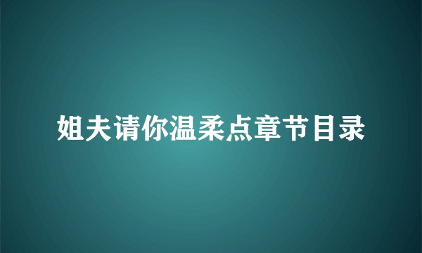 姐夫请你温柔点章节目录
