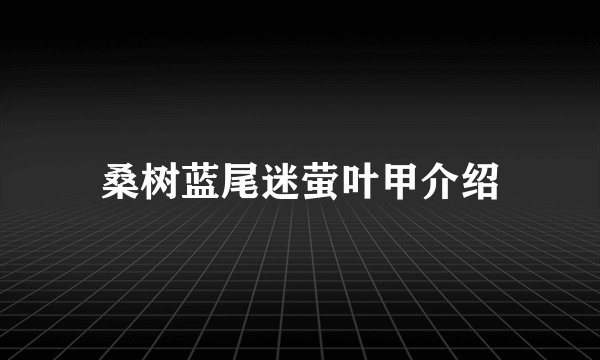 桑树蓝尾迷萤叶甲介绍