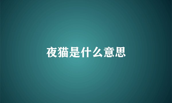 夜猫是什么意思