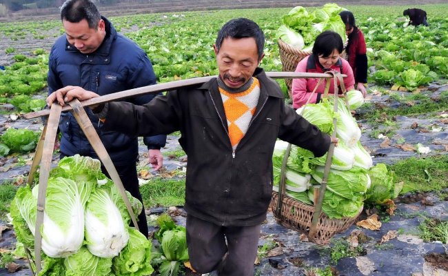 王霏霏因为李佳琦变成大嗓门，环境真的可以改变一个人吗？