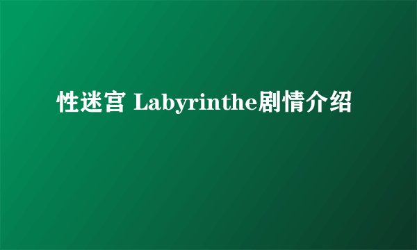 性迷宫 Labyrinthe剧情介绍