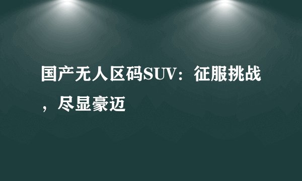 国产无人区码SUV：征服挑战，尽显豪迈