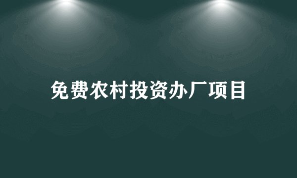 免费农村投资办厂项目