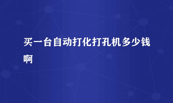 买一台自动打化打孔机多少钱啊