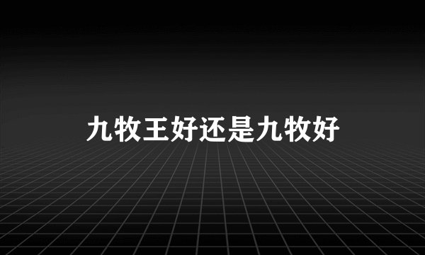 九牧王好还是九牧好