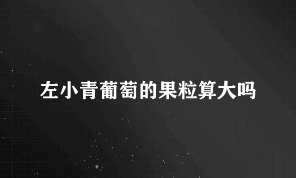 左小青葡萄的果粒算大吗