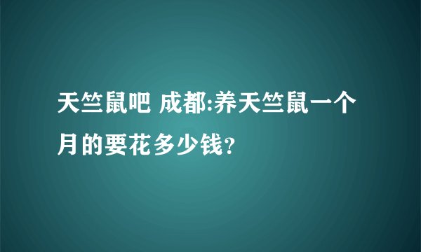 天竺鼠吧 成都:养天竺鼠一个月的要花多少钱？