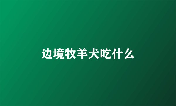 边境牧羊犬吃什么