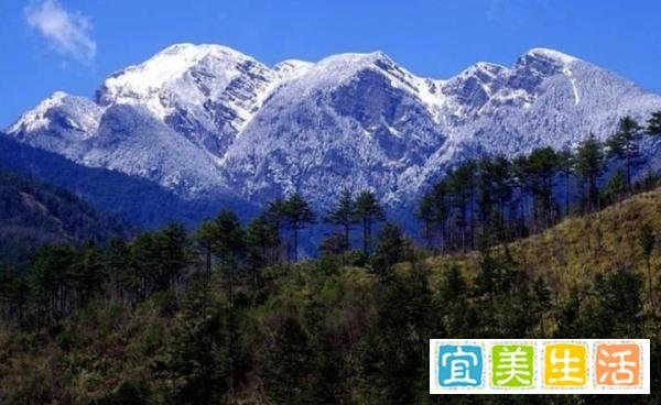 50℃!印度超高温破122年历史记录,自杀人数或因此上升