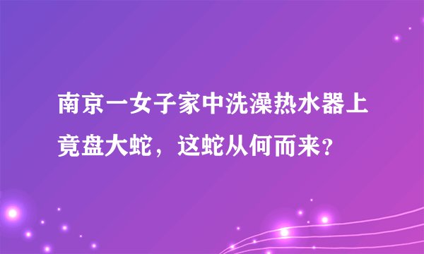 南京一女子家中洗澡热水器上竟盘大蛇，这蛇从何而来？