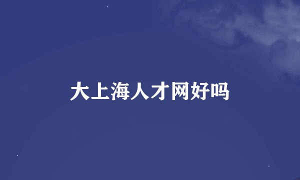 大上海人才网好吗